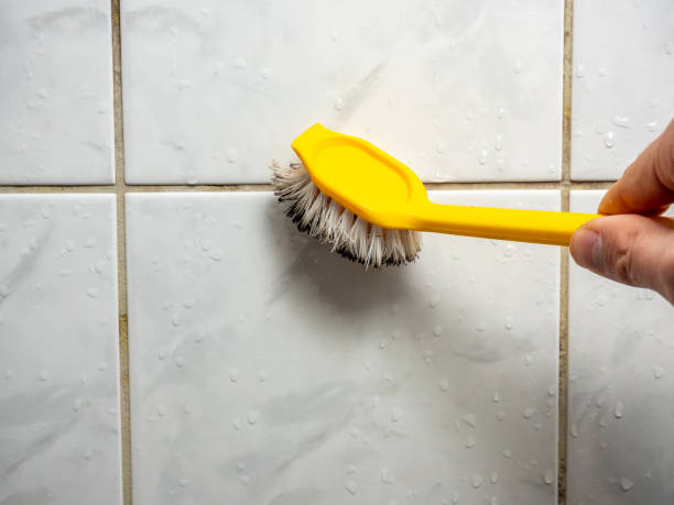 Best Attic Mold Removal  in Rothsville, PA