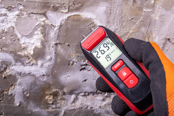 Best Mold Remediation  in Rothsville, PA