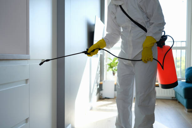 Best Professional Mold Removal  in Rothsville, PA